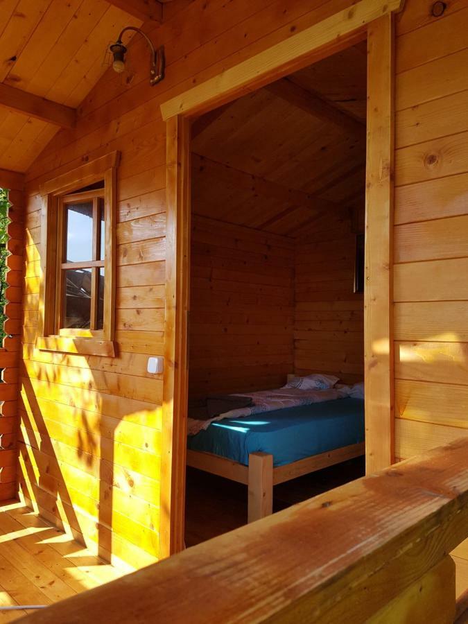 Retezat Retreat - Wood Cabin Clopotiva Eksteriør bilde